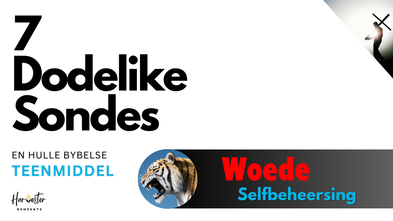 #5 Woede - Selfbeheersing