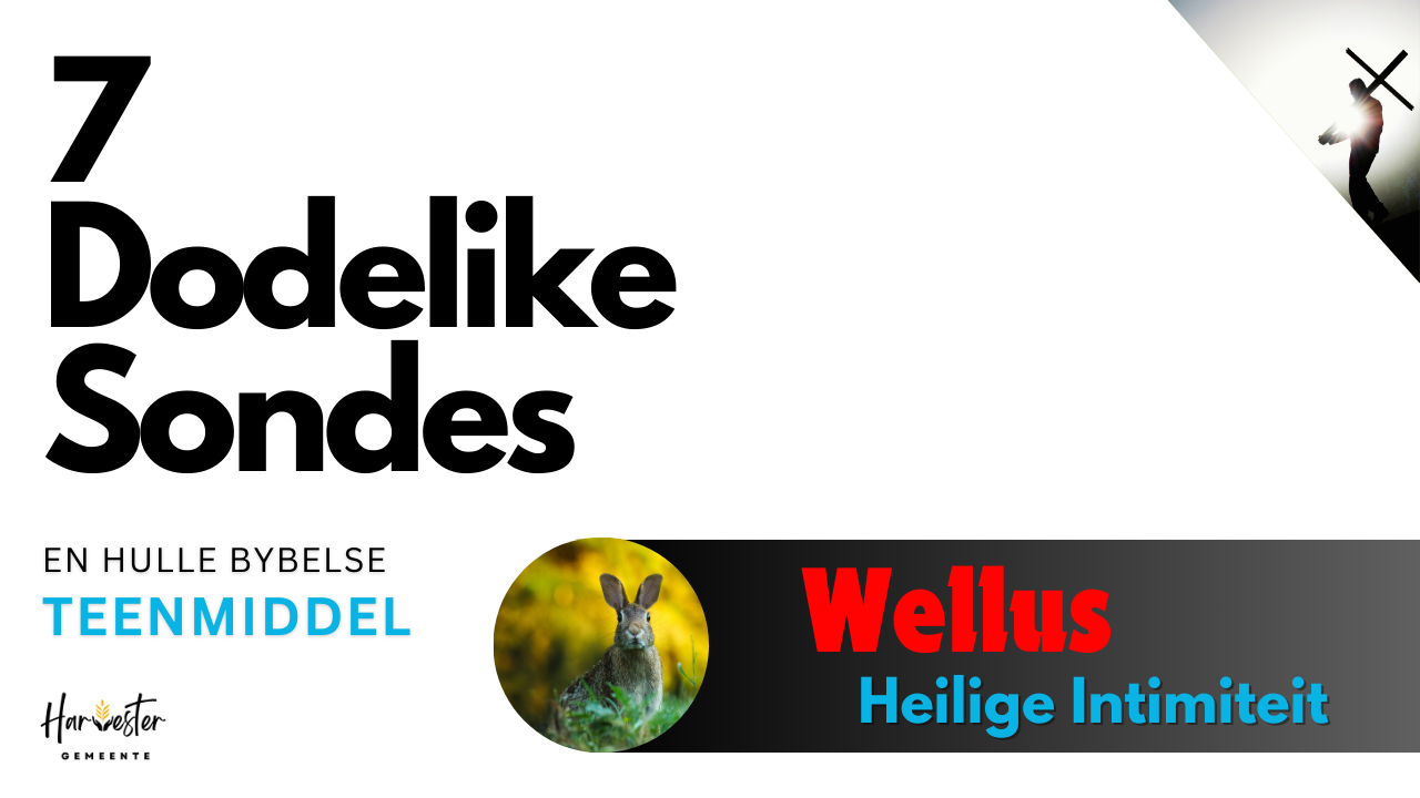 #6 Wellus - Heilige Intimiteit