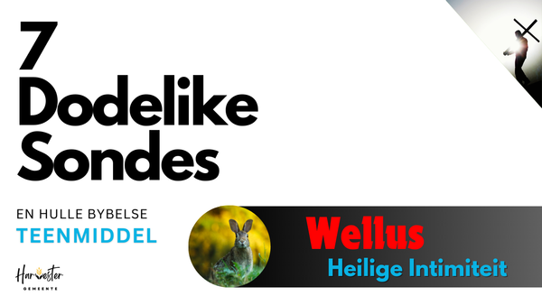 #6 Wellus - Heilige Intimiteit